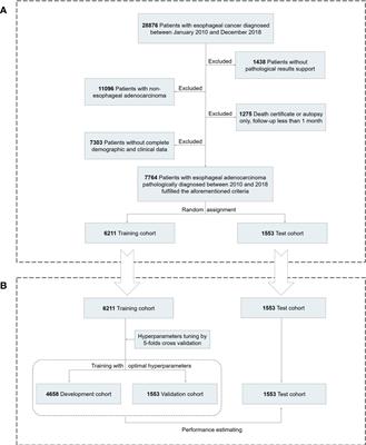 A novel risk classification system based on the eighth edition of TNM frameworks for esophageal adenocarcinoma patients: A deep learning approach